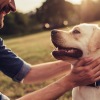 a man holding a dog
