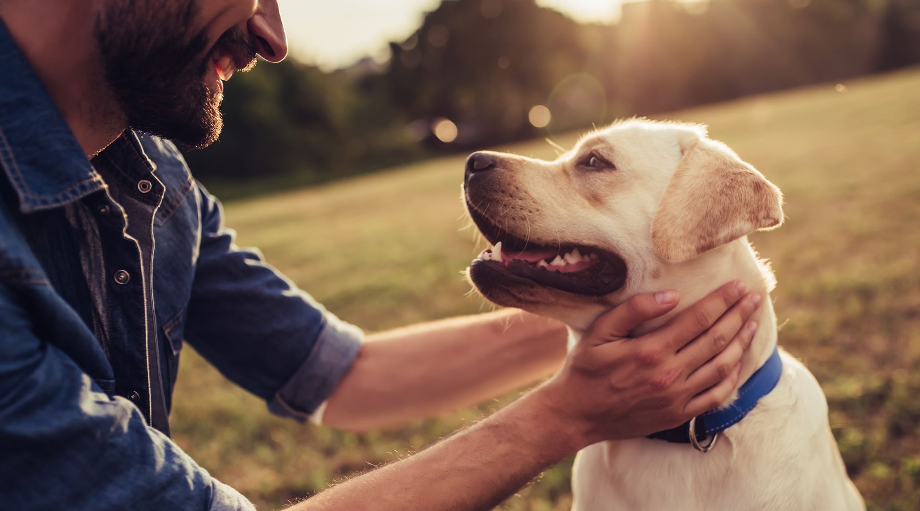 Park 3Eighty is a pet-friendly community! a man holding a dog